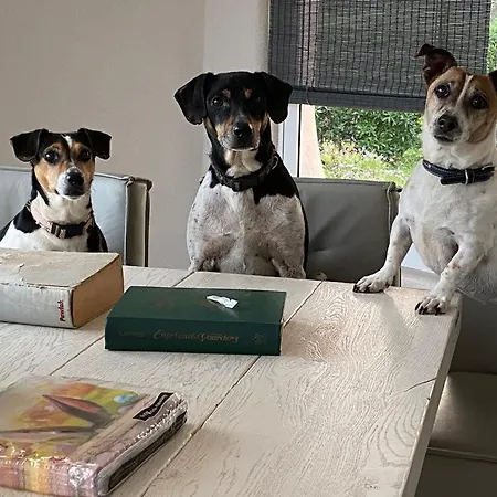 Apartament Quinta Omorka Lagos